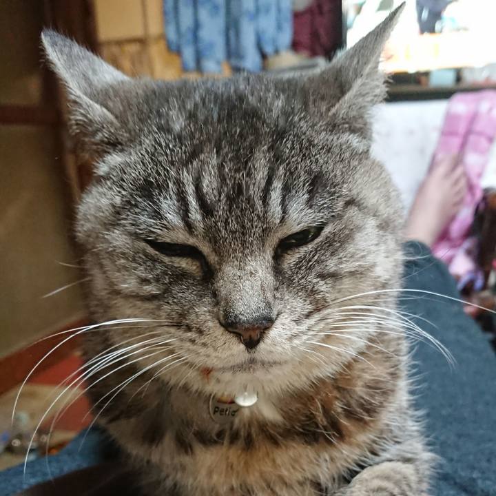 356963d1 70dc 4b1c bd5b 1c3f50dc9a0e 1576062617188