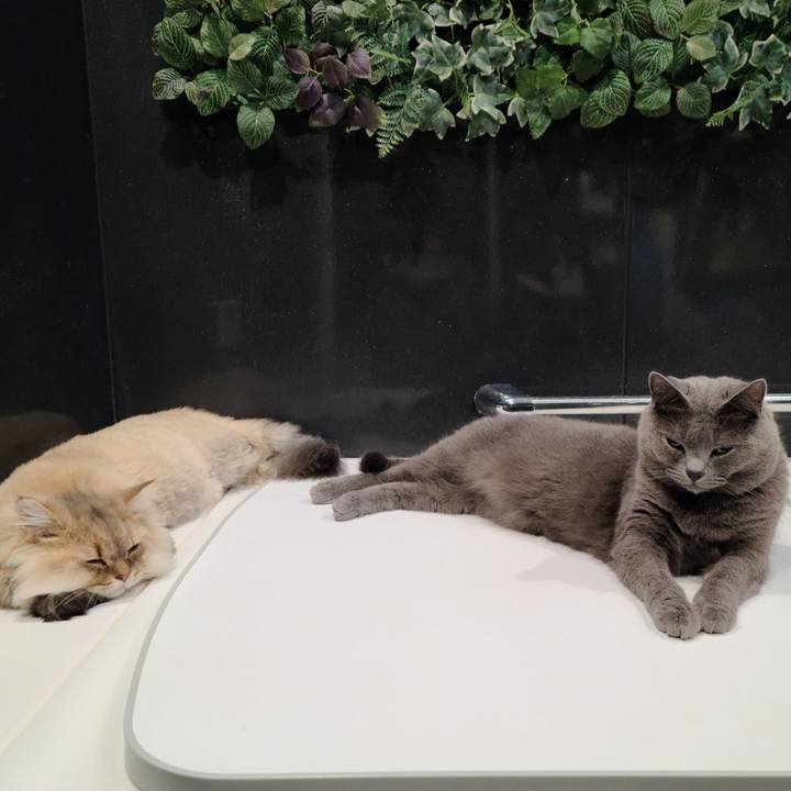 356969c0 7292 445b 92e7 3704d63a3715 1602056141813