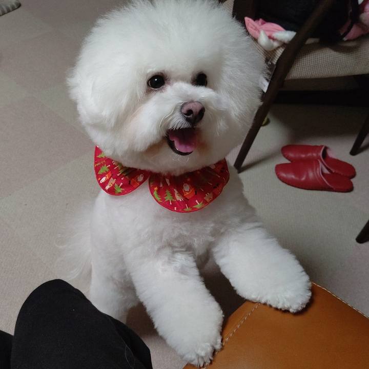 35697dd5 5f4b 4f42 b4d8 8bd9c73f3301 1608979665899