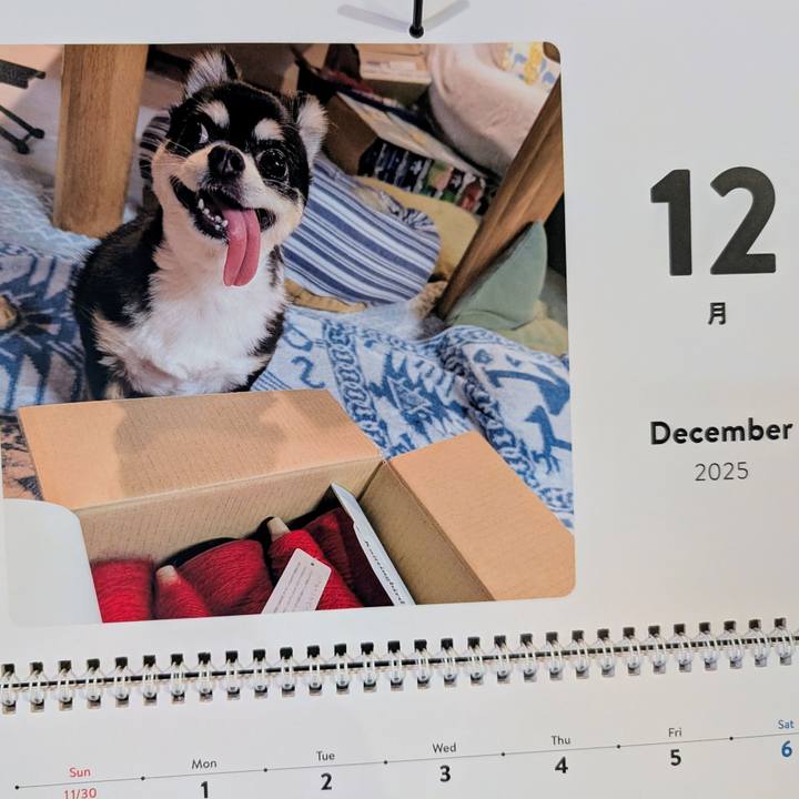 3569aef4 d651 4aa0 aeef 872a2ba1d356 1764679117783