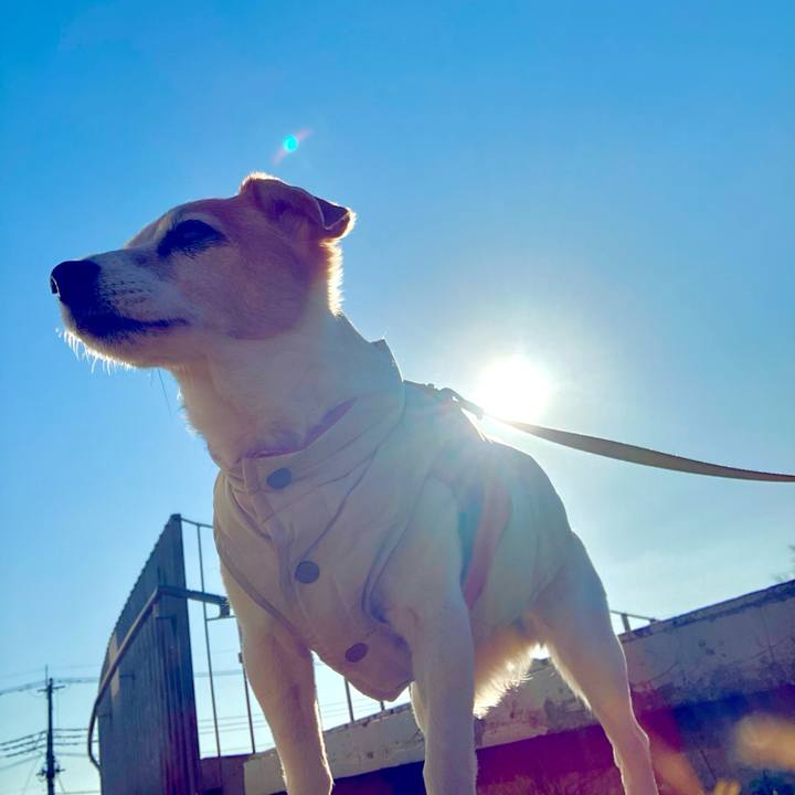 3569ba10 acde 443e 9b56 55b8aa8b1b23 1703900536693