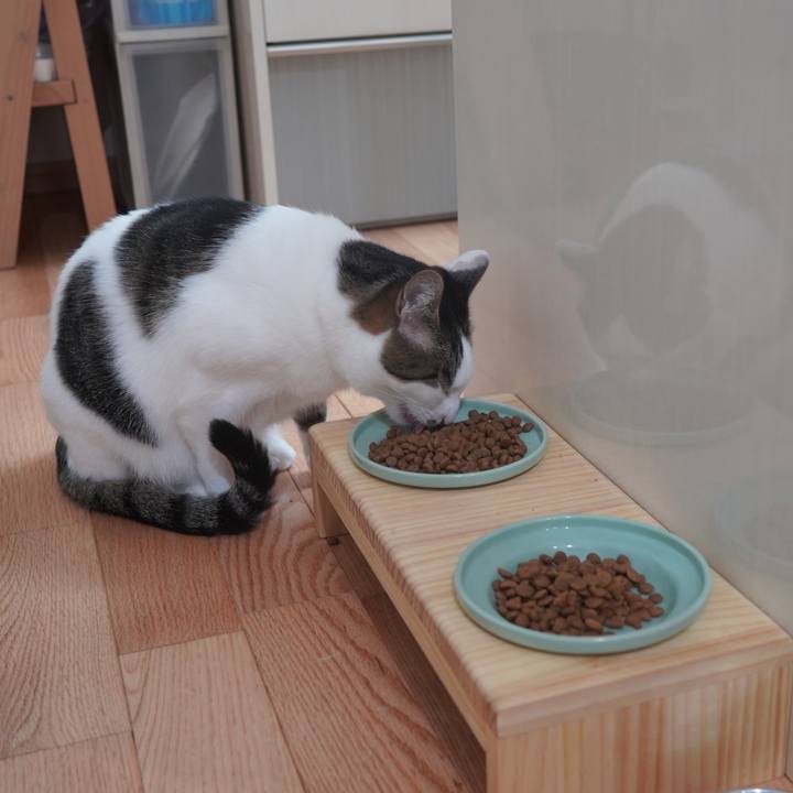 3569cc75 4157 4a45 b0da 2990f809cdbe 1584536945866