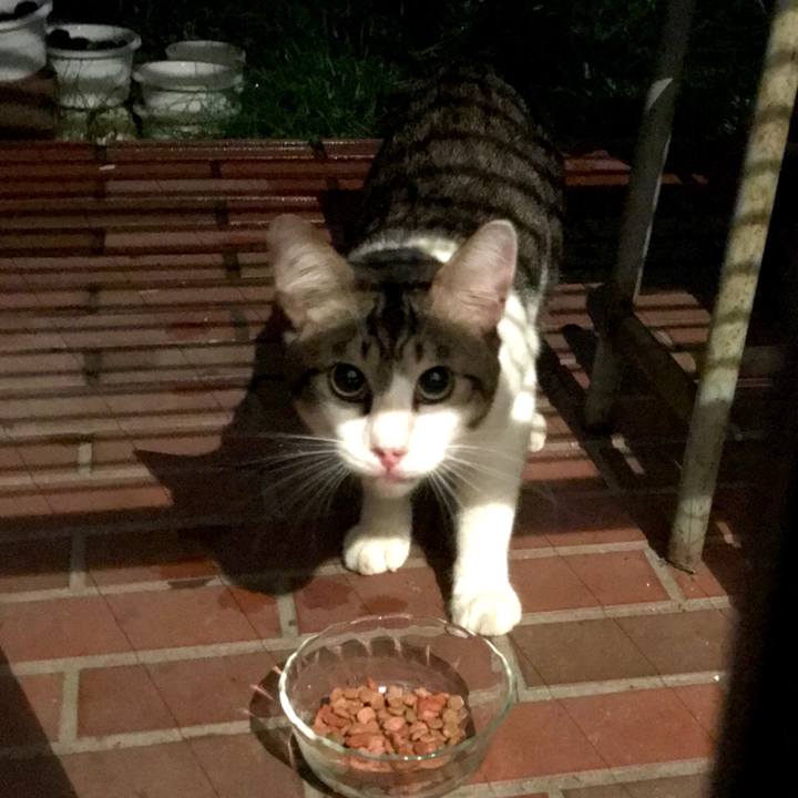 3569f8af 6114 40e3 9729 0f28d3c7e405 1537411494317