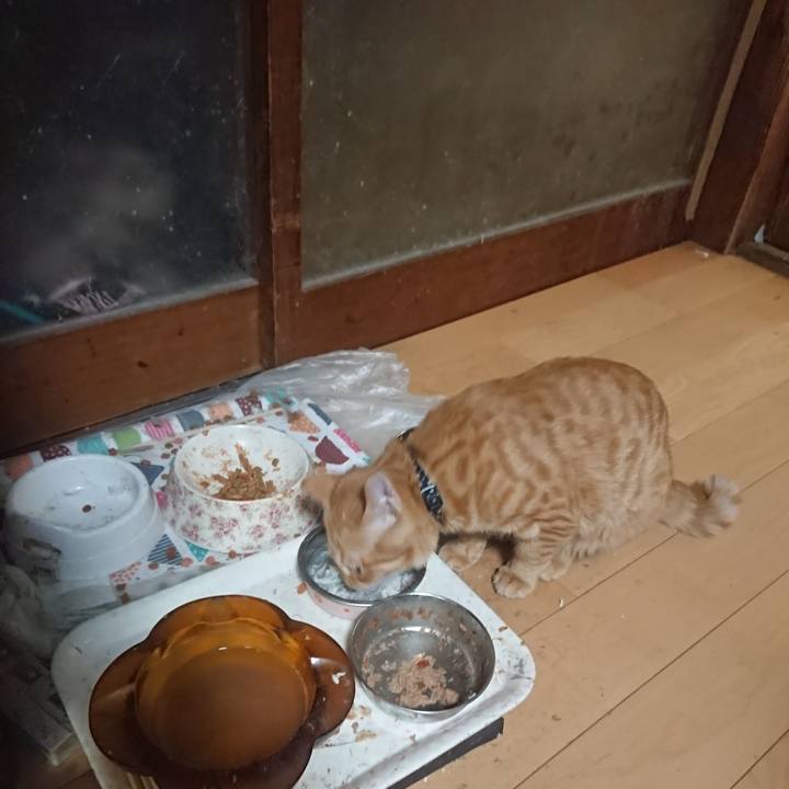 356a0453 bd7f 418e 9472 378f2da24d5e 1637751153104