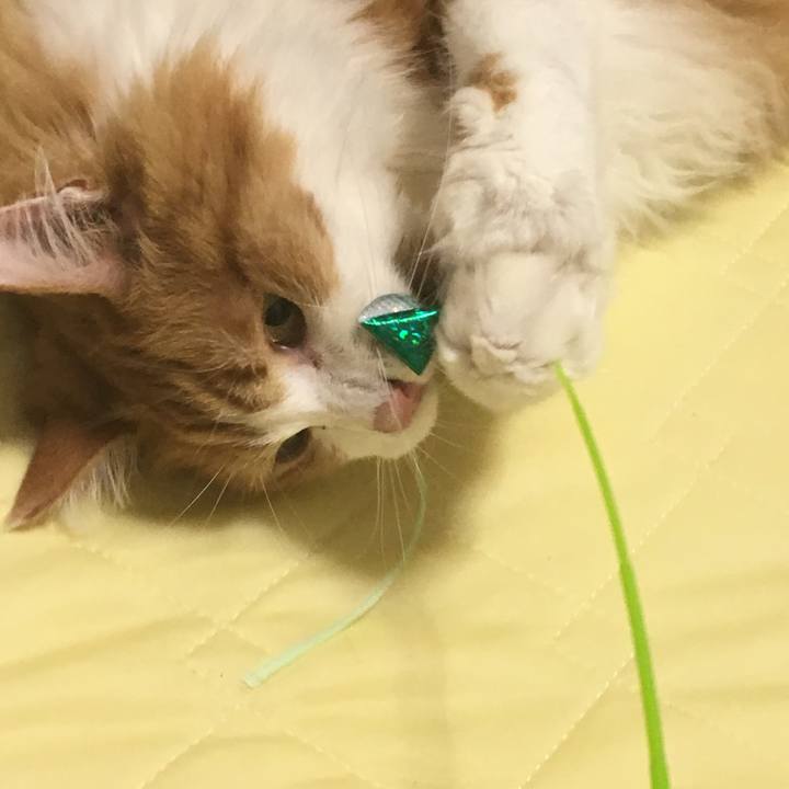 356a2054 2623 44b8 9eb4 1d0ce258550a 1561734039861