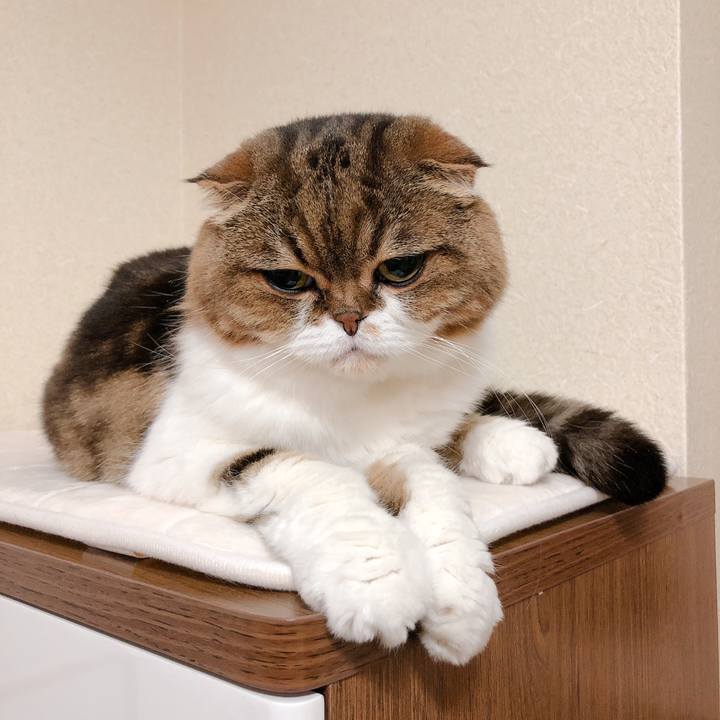 356a40e3 f5d5 459a 8c44 227d0d62c780 1589552141490