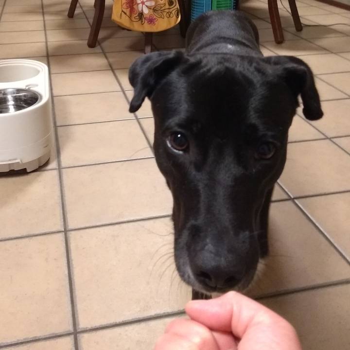 356a8f6c 6f67 4704 b846 5c005a0c7783 1590316545674