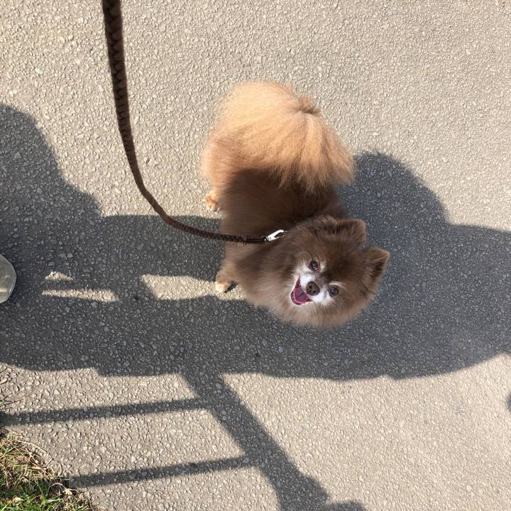 356a9b3d 8fb4 4692 bcff 6634f23840c2 1633306380369