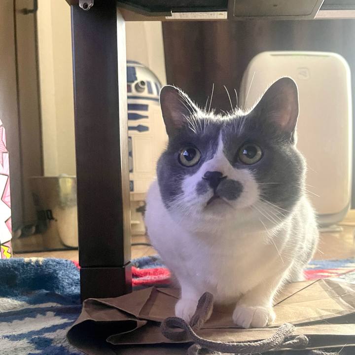 356aa4d1 ece2 4e14 aae0 3a14bd27f0d1 1686866434931