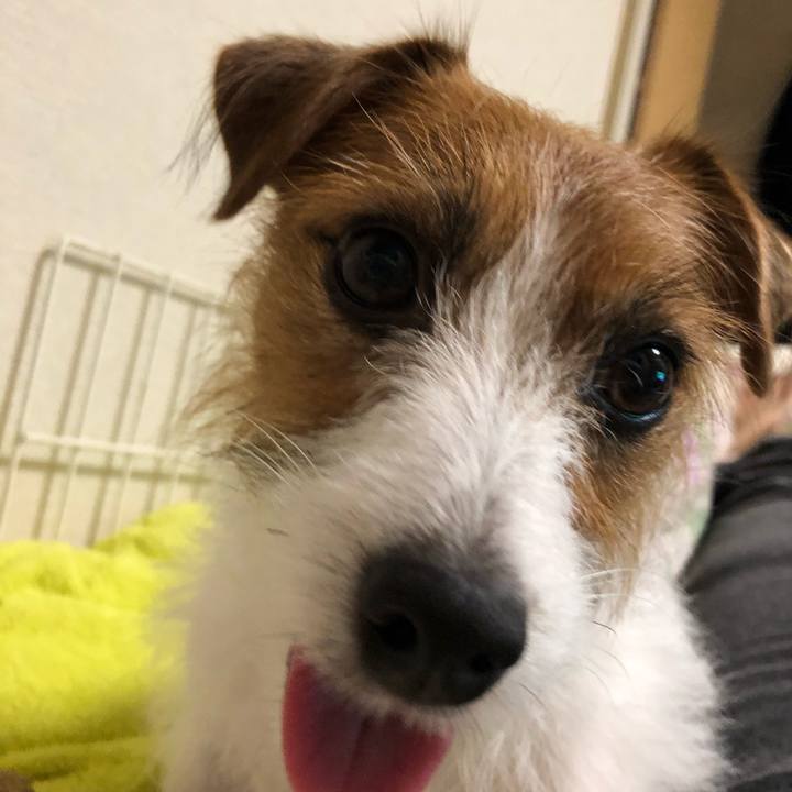 356aa5f4 82a8 4eb7 a181 f412abfbc918 1541072467281