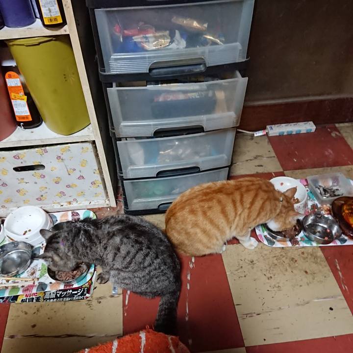 356afd18 7f82 478f b80d 03c4324a23bf 1590488655114