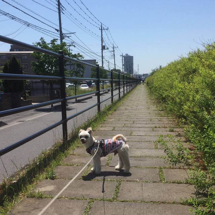 356b07e2 1306 433e be95 0211c68fc75f 1558772792959