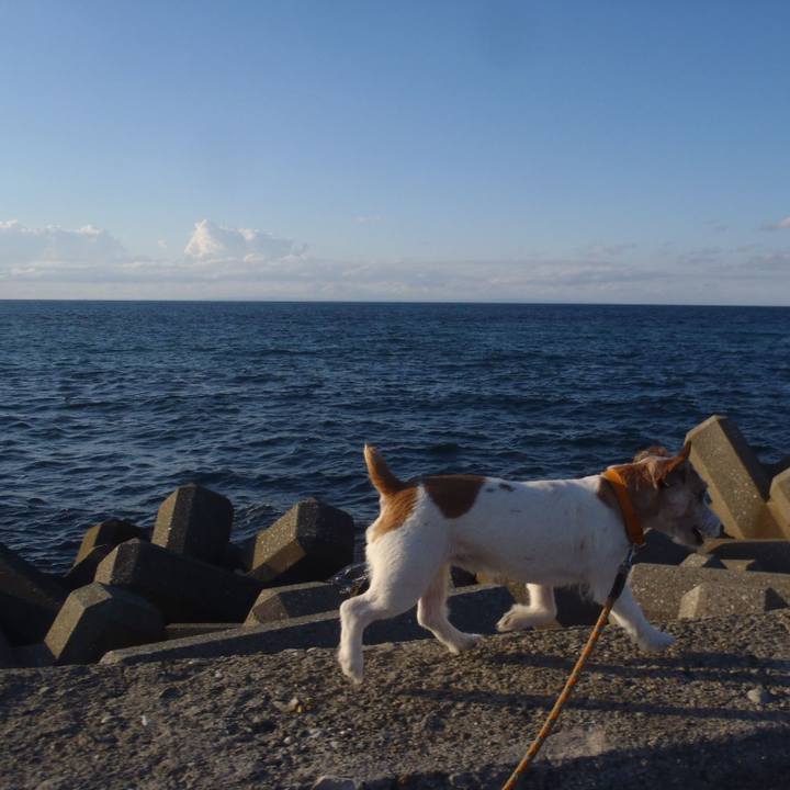 356b14f6 e420 4bee b547 517b212ced68 1539509958208