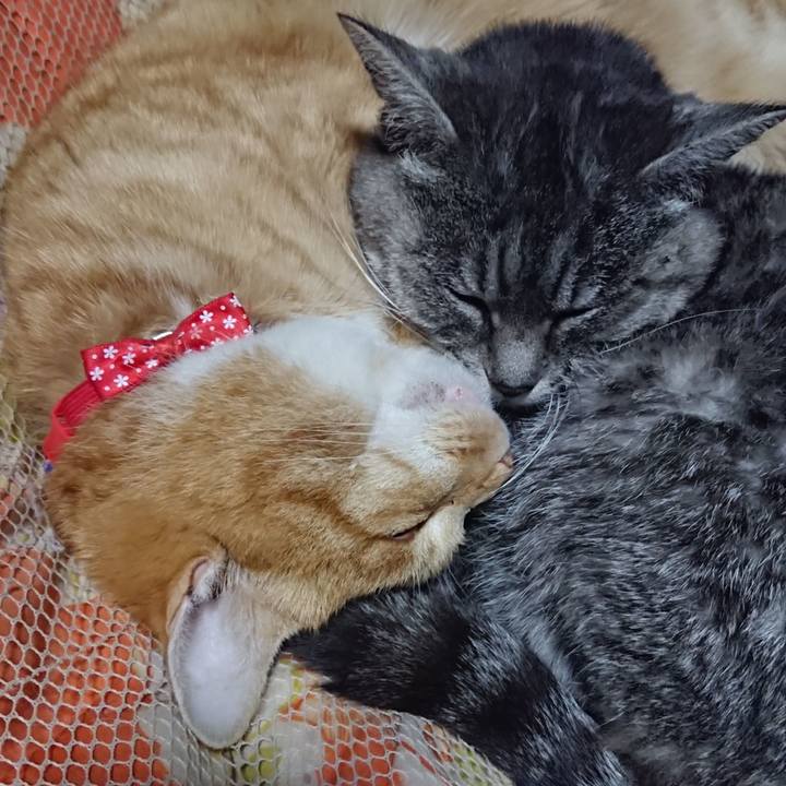 356b2168 0c65 4f22 9b8d 32281f442363 1577190130060