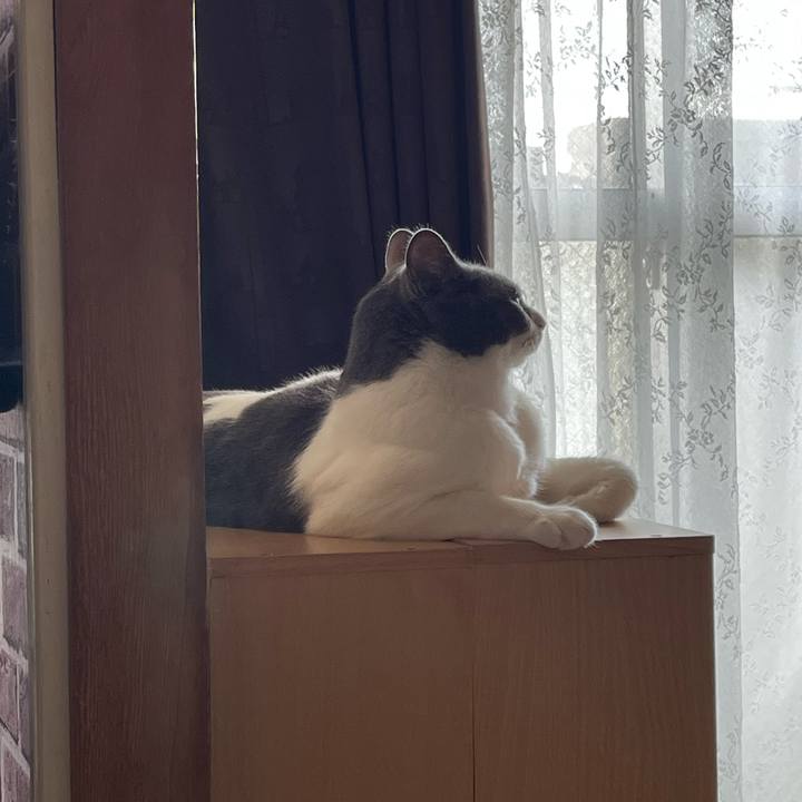 356b3467 47d9 4dea 94aa 5455a458aba1 1662533393310