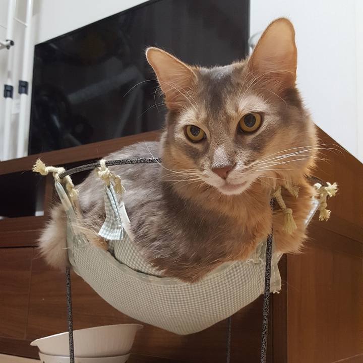 356b4222 f8b6 4004 bf8c 3e6824bfe15e 1581765147176