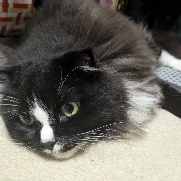 356b5f00 d5e5 4054 8f03 86cd0d432e37 1723814175933