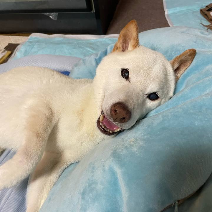 356b8259 9873 4e05 9481 3d8e20b01709 1655800822596