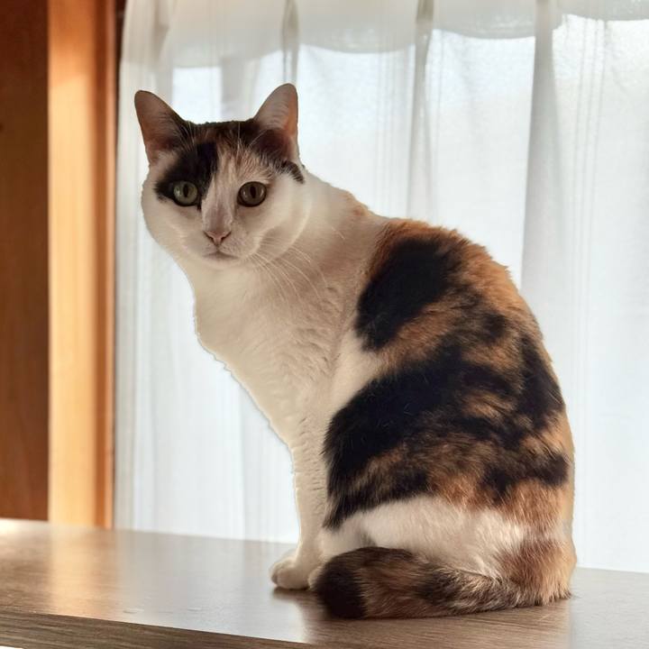 356bbf53 c481 463c 9c67 d28ad1973dcf 1735868497585