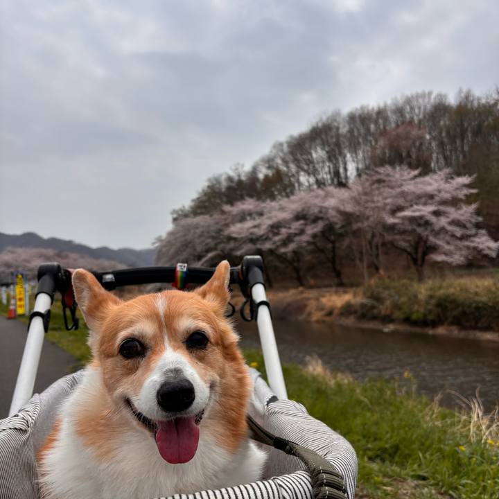 356bc72b 0076 4866 a691 9de6a117895d 1774841709689