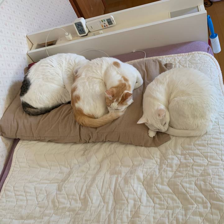 356bcc6a 1b66 4dd8 94f4 a9fe032f8489 1650180774240