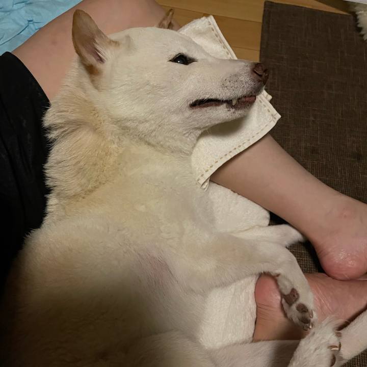 356c0cec 86fb 4f2d b4f6 d9cc125385b4 1667489834091