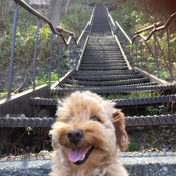 356c16d4 907e 46f9 af8d 7ac61b875e09 1524294188546