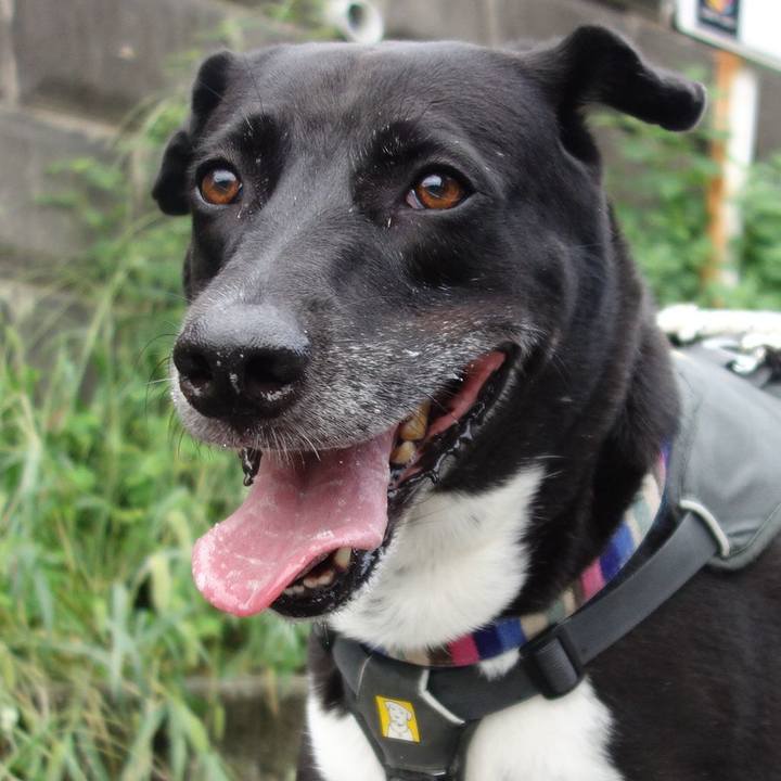 356c1b4d c239 4ecd 8849 64a081fa5984 1664068899406