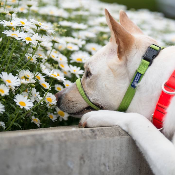 356c5477 87eb 45a7 a262 588f430fa7ef 1523617499379