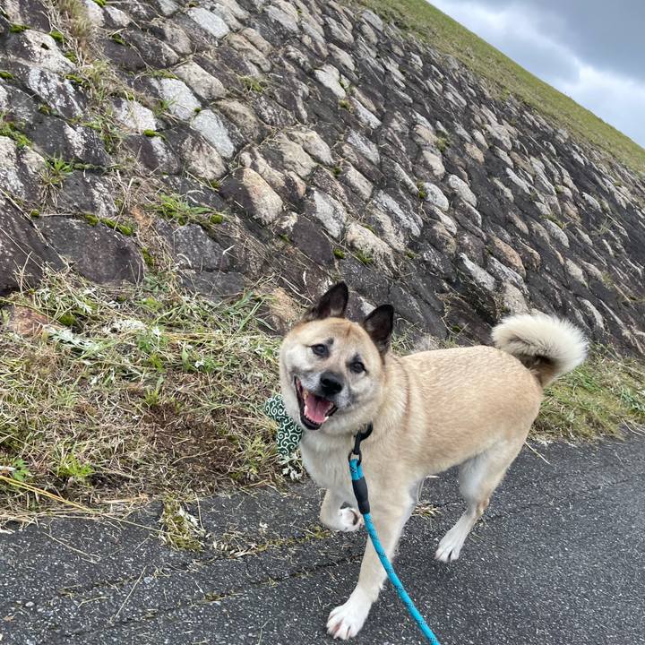 356c6c1b 45d3 481b 97e7 2ff92d59e70f 1684064301878