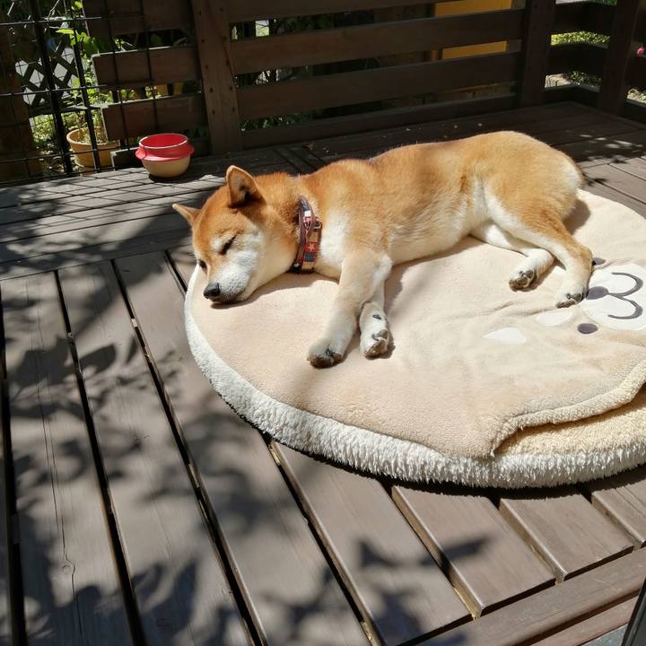 356ca9fa 477e 4ffd 8c61 0101c1349d8a 1682559489465