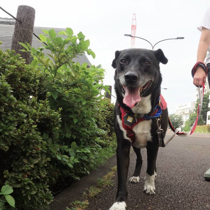 356cdc96 f92f 48c5 828f 7f496e59b705 1688084471152