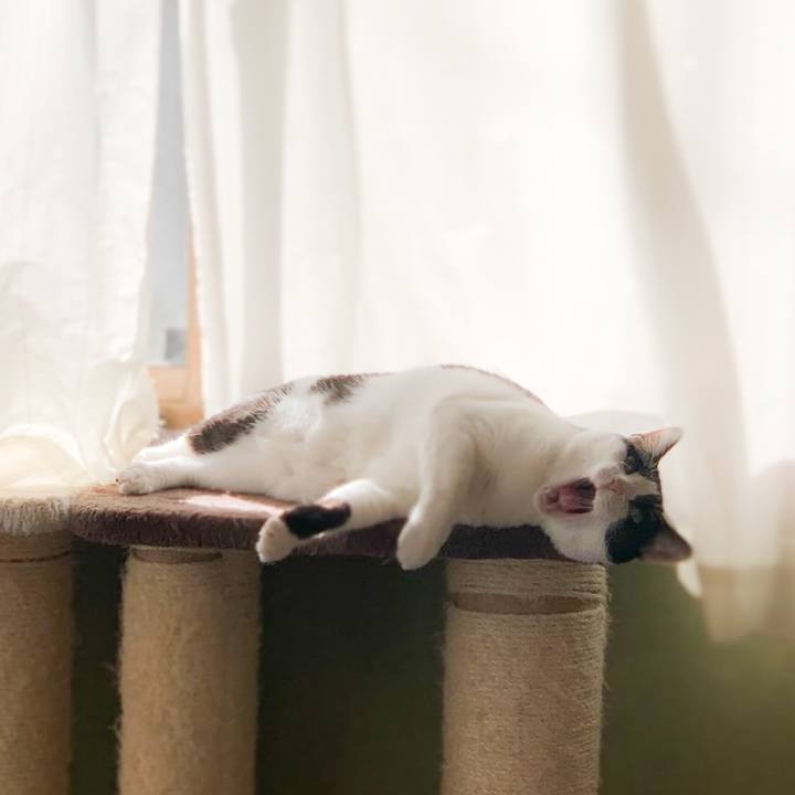 356cf2c8 2e99 4156 856b bfc5f2cce730 1574994117916