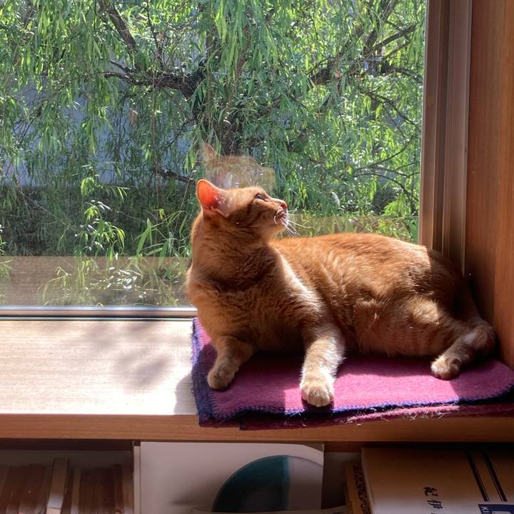 356d0482 c84c 4fd2 b582 fc64af8e6f26 1651276937426