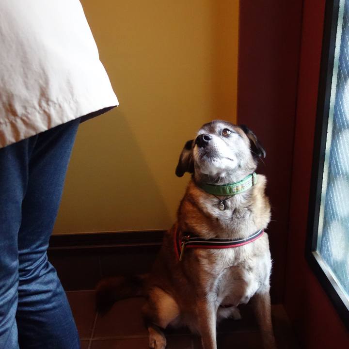 356d222f 6dcc 49c8 a8c8 18633334300f 1655340064378