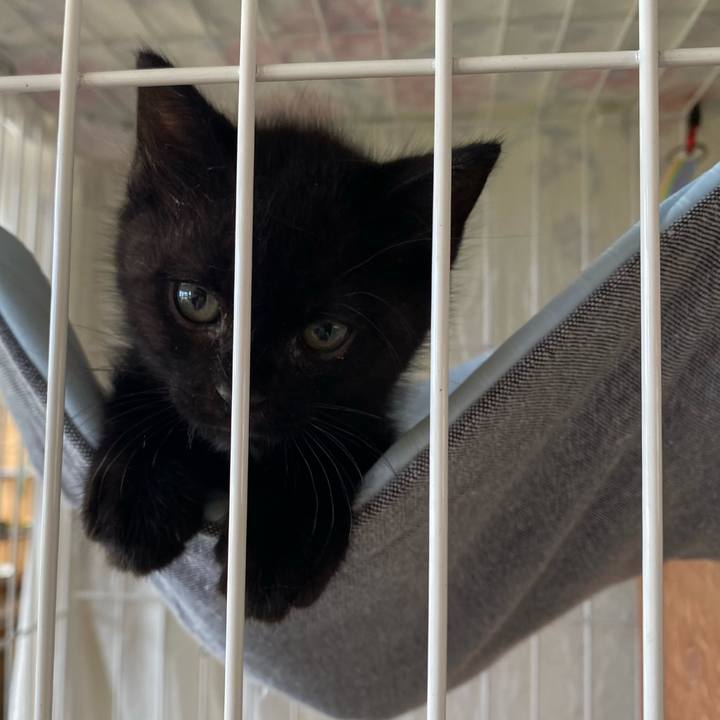 356d425b 738e 43e0 8c08 804713f1a80b 1717219883920