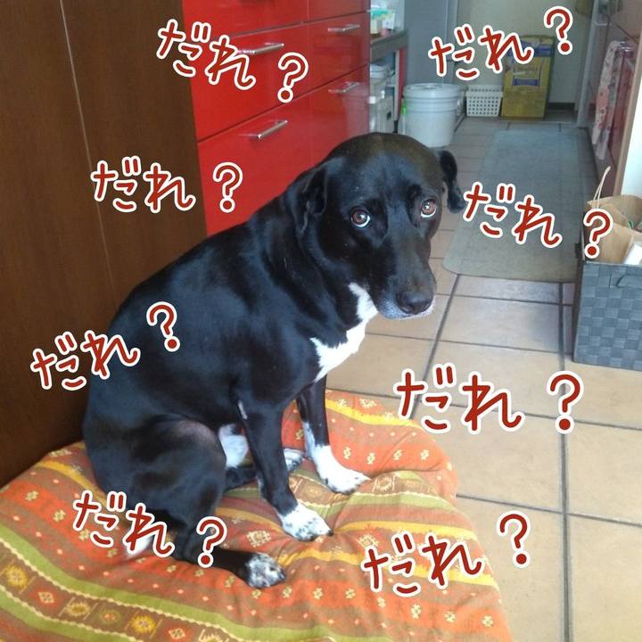 356d5e8c 8eb5 414b 9e58 0342f624363f 1627346340073