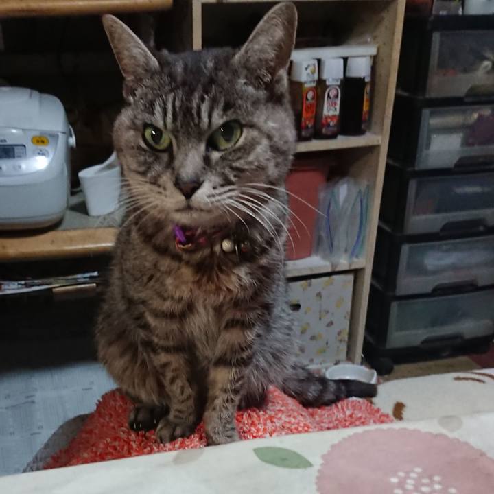 356d8350 9f06 4509 a5ef 9e4303f1cfcb 1580766286421