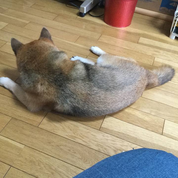 356d99ec 5d84 4c03 9ed5 157df78d385f 1625543259186