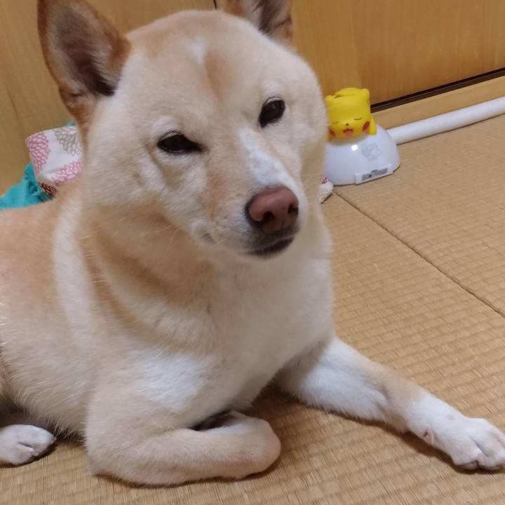 356dac8b f89b 43b8 b524 bc8698f59684 1590103118366