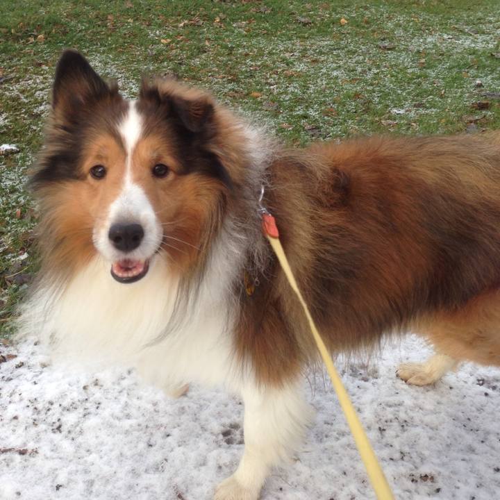 356dc8bb bc7a 428d ae72 4b275f2328dd 1707016272654