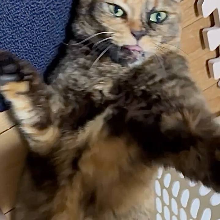 356dde44 4dad 492a 8bd0 a11fcaf39414 1771966003896