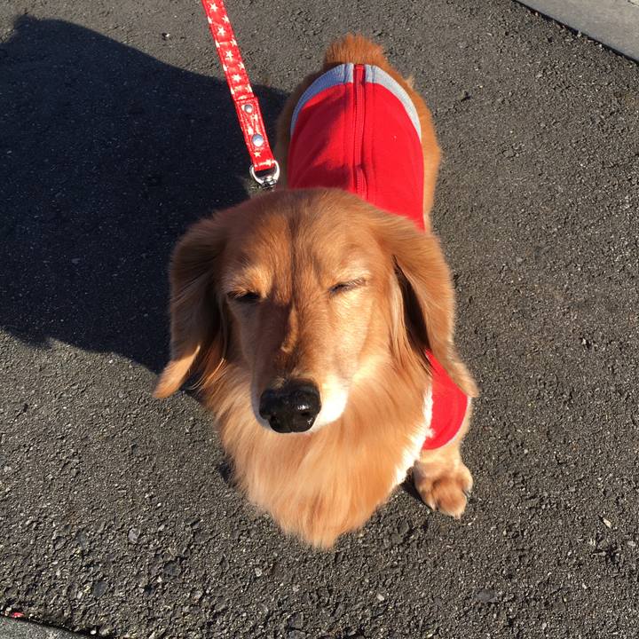 356e1009 b847 4612 b61d 8cf72374c4c7 1609674362987