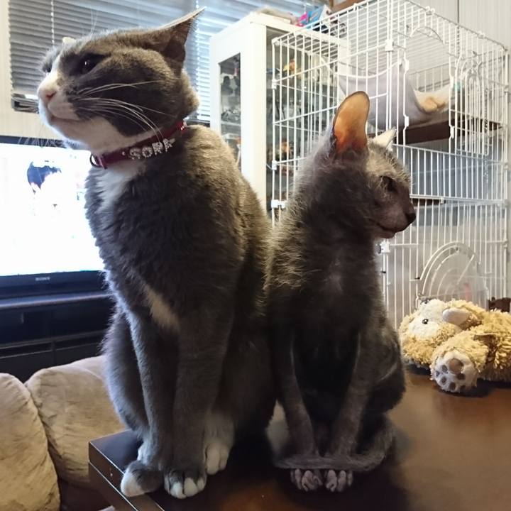 356e17b1 3a88 4874 a5ab 4d2f52d65634 1517115675907