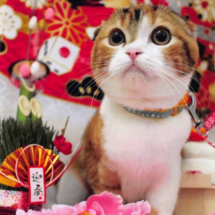 356e3d5b 4c08 45ab 8765 7ab6847d480b 1546321992474