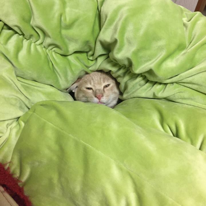 356e5d9c 90b6 4278 92ce d9d8c978d3ec 1542628685782