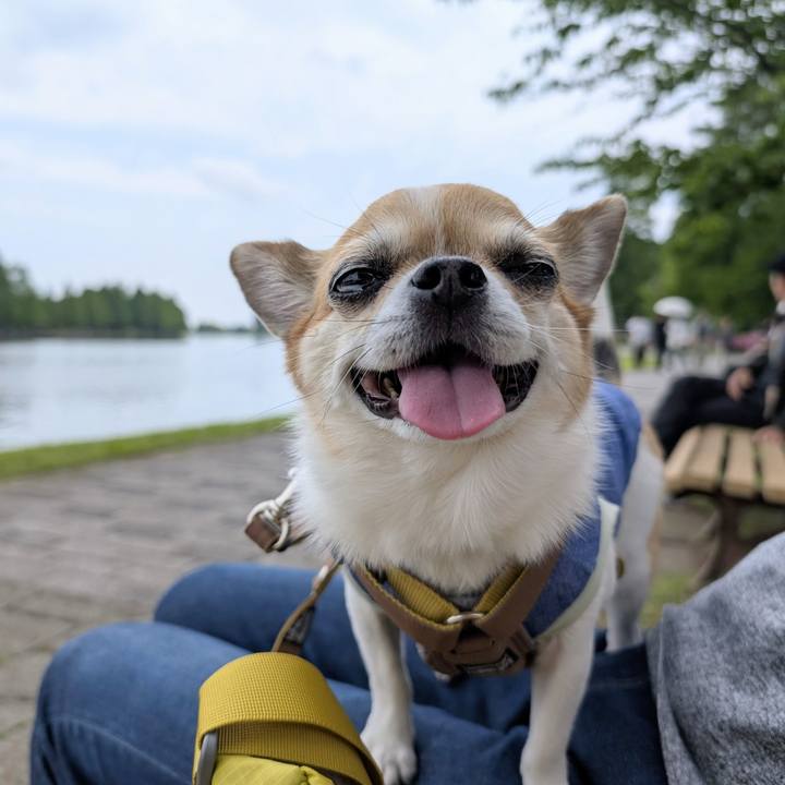 356e99b7 ed92 44ce 9091 5957318e5f24 1746348005022