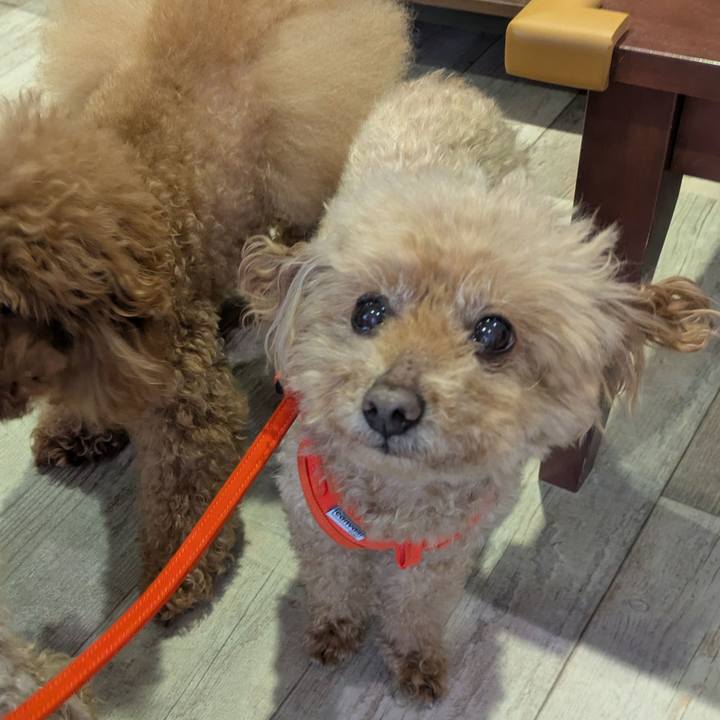 356ecabd 4181 4db6 bdcc 1921608b780b 1774406980017