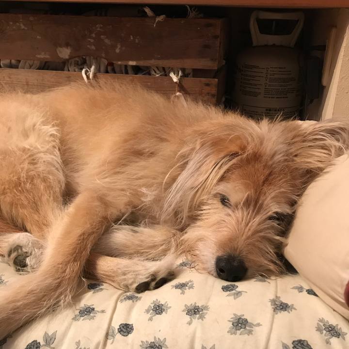 356ef0cf b308 4a99 9e25 115769066d47 1575885686413