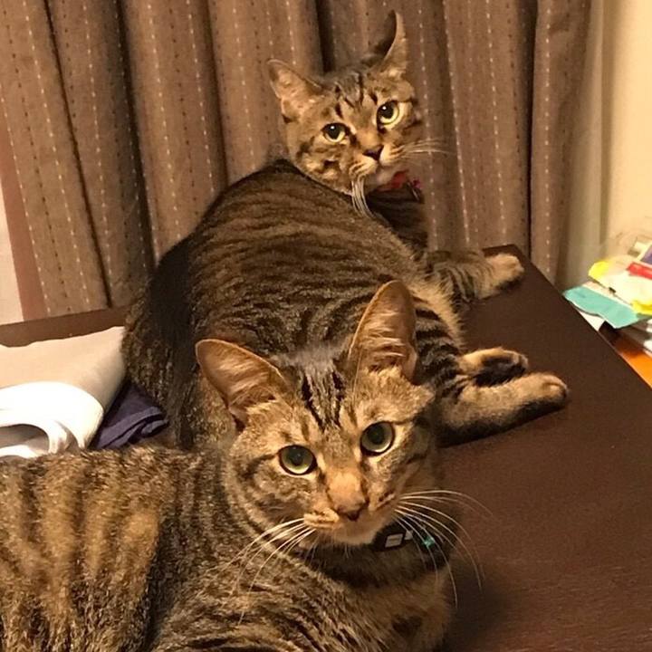 356ef8a6 5fe8 42b5 bc1f 649892387d1b 1546263925802